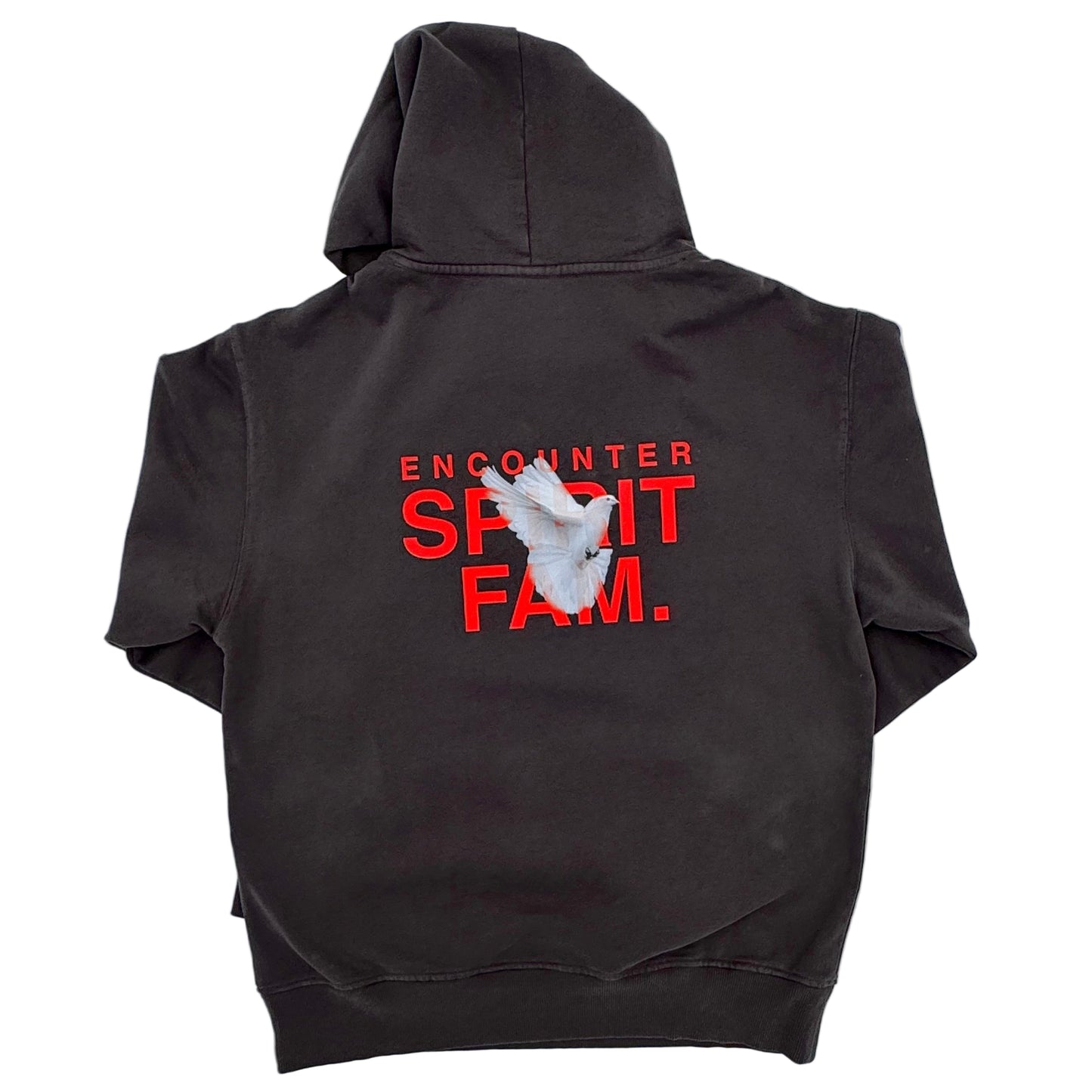 Spirit Fam Hoodie